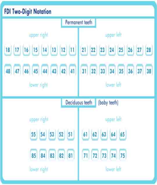 F.D.I Two Digit Notation